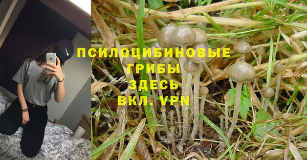 первитин Балахна
