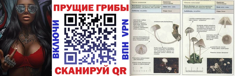 Псилоцибиновые грибы Psilocybine cubensis  Купить  Сим 